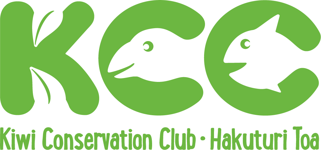 KCC LogosKCC Logo – Colour